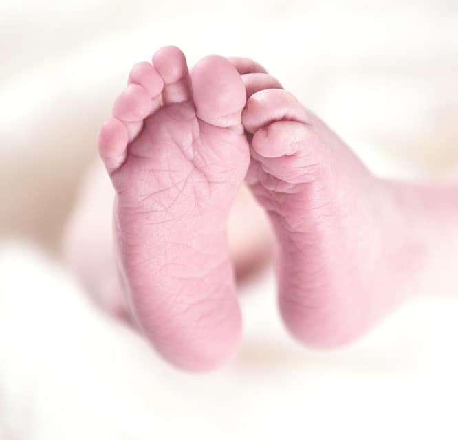 baby's feet