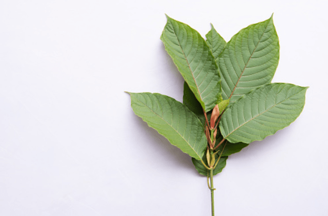 kratom
